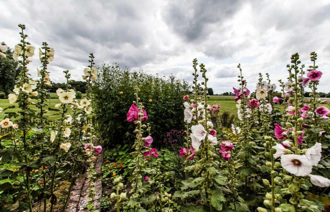 B&B Oldenbosch Holwierde ภายนอก รูปภาพ